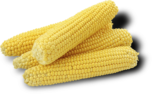 Corns