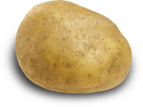 Potato