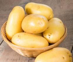 Yellow Potatoes in San Luis Valley, CO