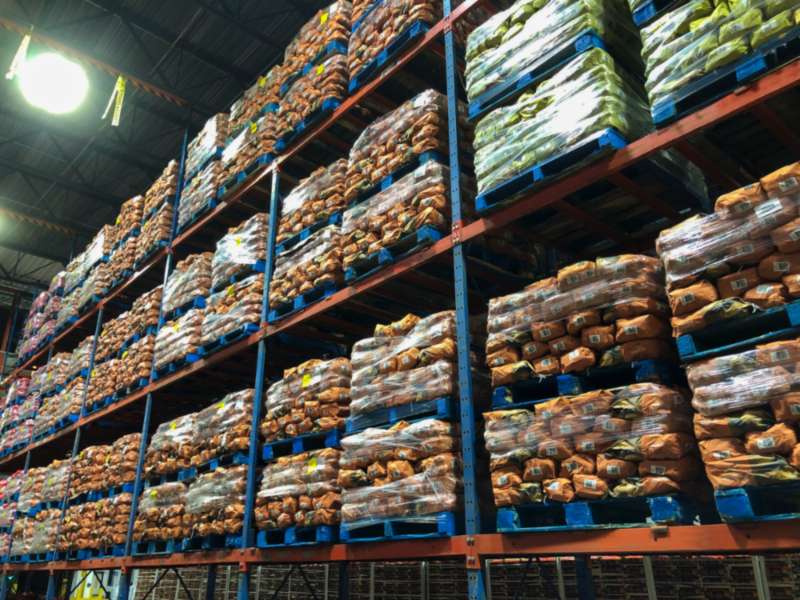 Potato Storage Potato Storage